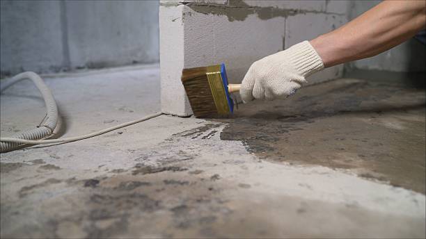 SJ Waterproofing Pros Waterproofing coverage map for Marysville, MI and surrounding area